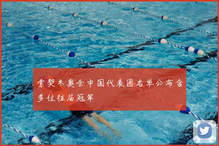 索契冬奥会中国代表团名单公布含多位往届冠军