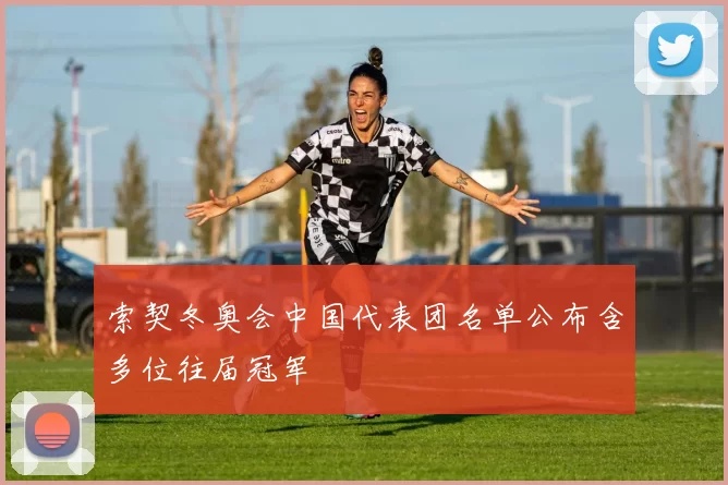 索契冬奥会中国代表团名单公布含多位往届冠军
