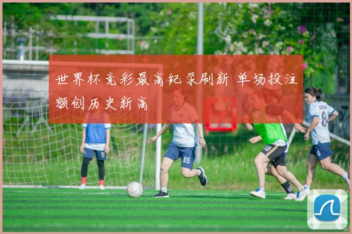 世界杯竞彩最高纪录刷新 单场投注额创历史新高