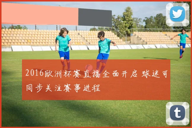 2016欧洲杯赛直播全面开启 球迷可同步关注赛事进程