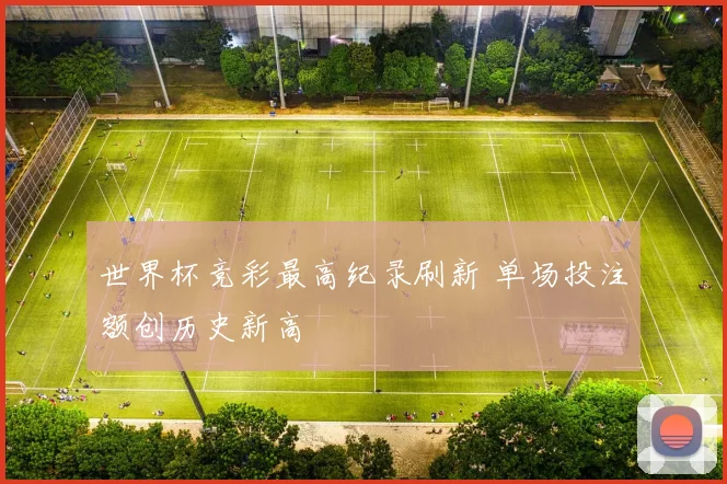 世界杯竞彩最高纪录刷新 单场投注额创历史新高